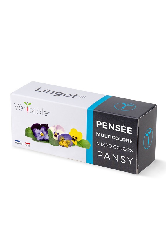 Veritable wkład nasienny Bratki wielokolorowe multicolor VLIN.F5.Pen05A