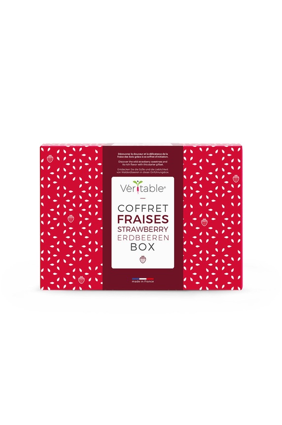 Veritable zestaw upominkowy do uprawy roślin multicolor KIT.FRAILING.FR.39