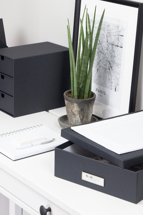 Bigso Box of Sweden Органайзер Ingrid 973145633 сірий