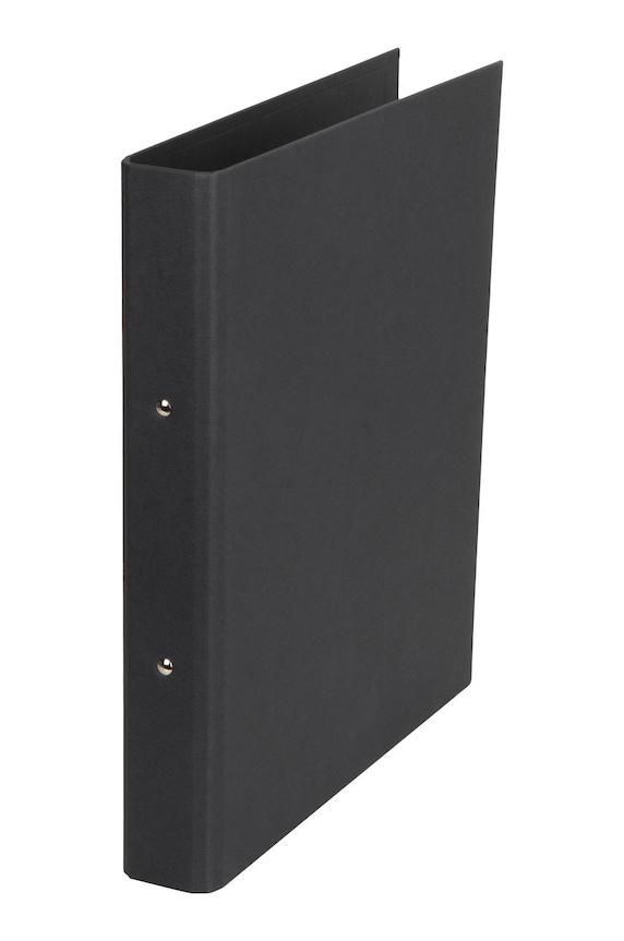 Bigso Box of Sweden segregator RINGO gri 796145680