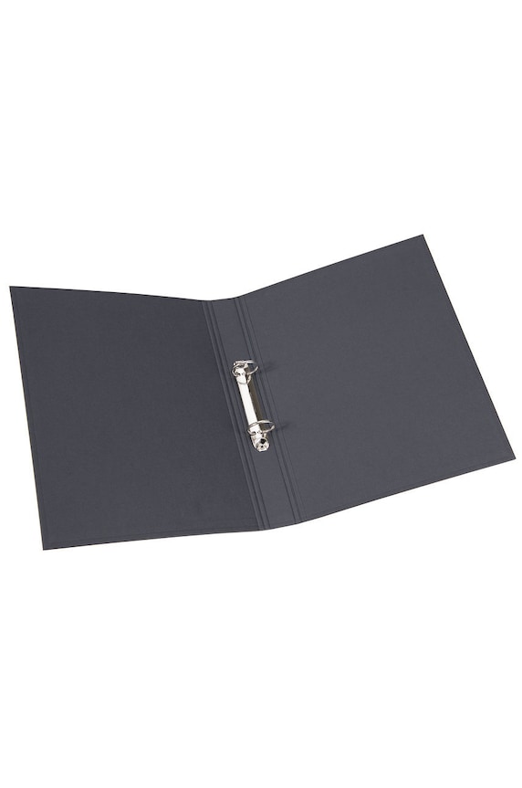Lifestyle Bigso Box of Sweden segregator RINGO 796145680 gri