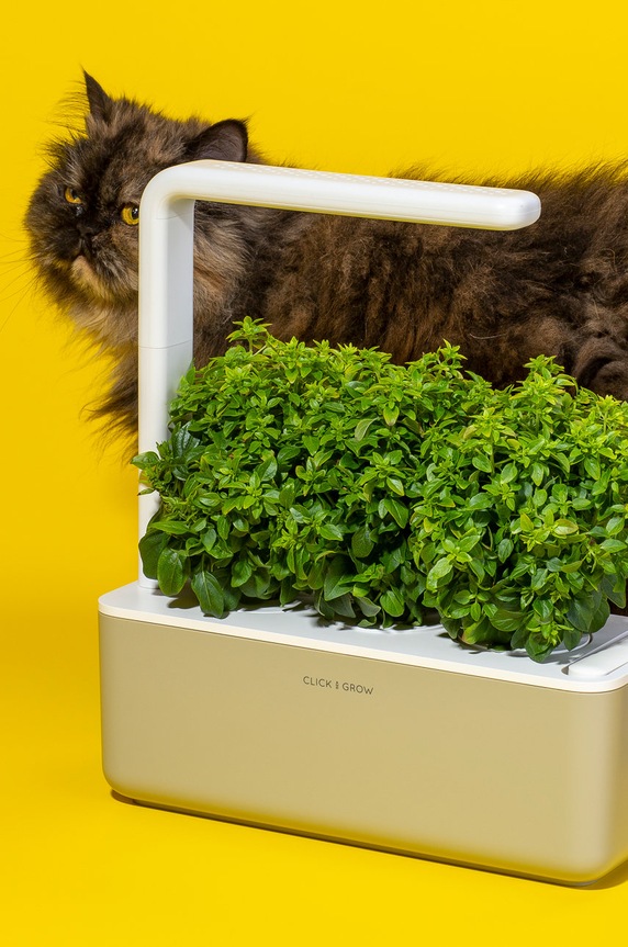 Click & Grow autonomiczny ogródek domowy Smart Garden 3 beżowy SG3BG