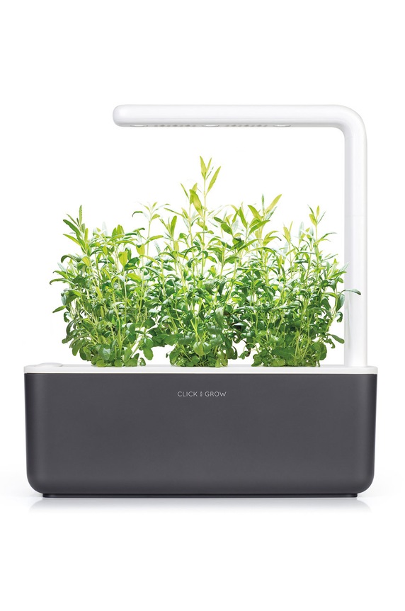 Salon i sypialnia Click & Grow autonomiczny ogródek domowy Smart Garden 3 SG3GY szary