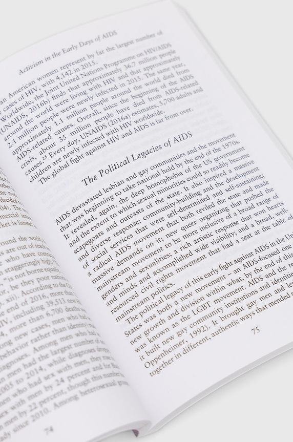 Muswell Press książka Lgbtq Social Movements, Lm Stulberg 9780745656083 multicolor AA00