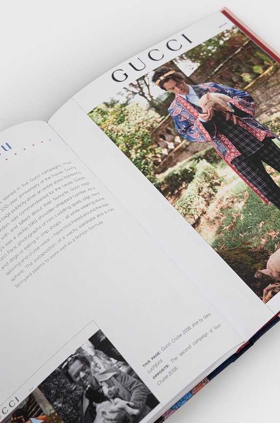 Kniha ACC Art Books Harry Styles: And The Clothes He Wears, Terry Newman 9781788841702 viacfarebná AA00
