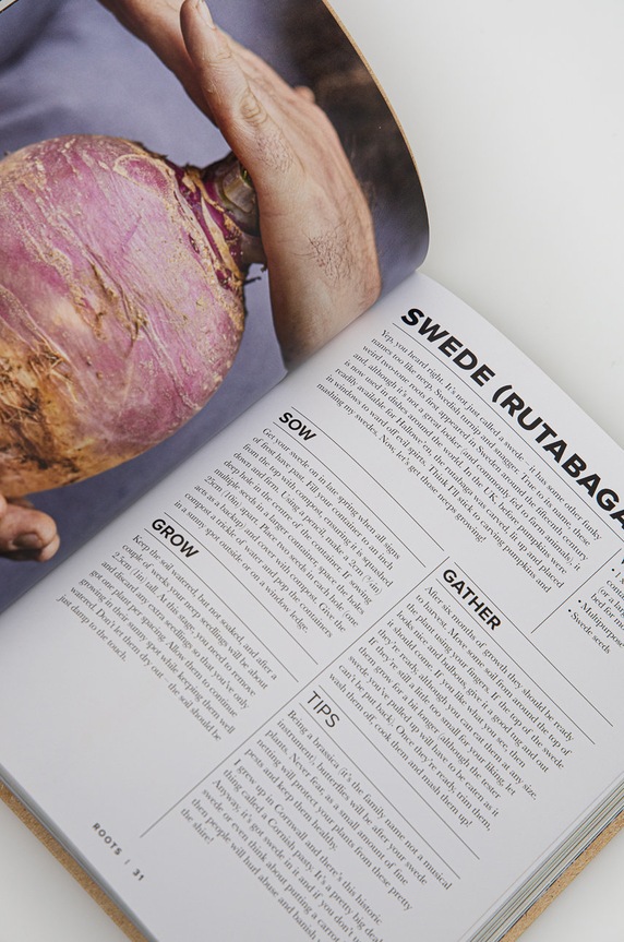 Quadrille Publishing Ltd książka 9781787137165 multicolor AA00