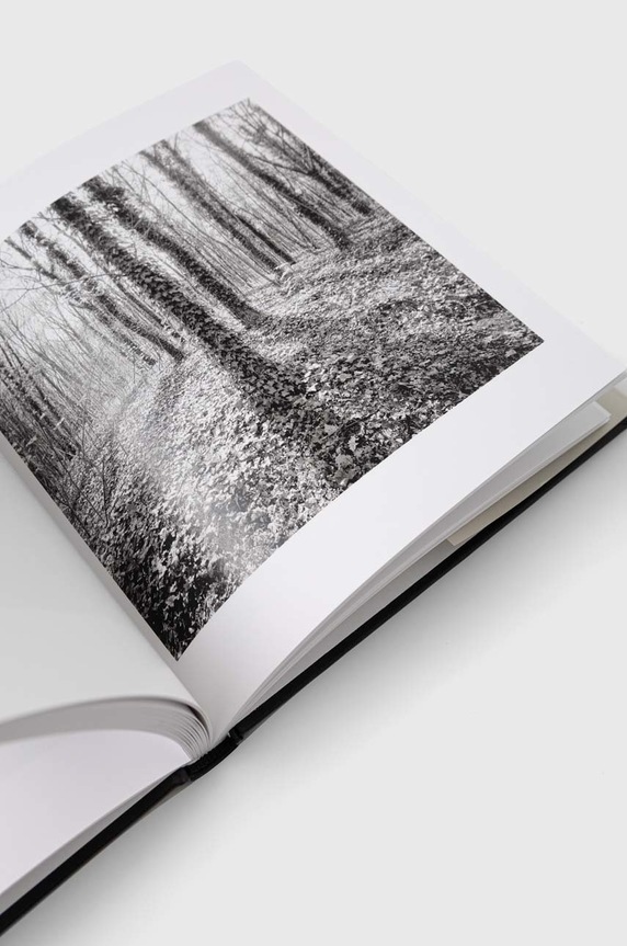 Книга Ryland, Peters & Small Ltd Paris Park Photographs, Michael Kolster 9781938086885 многоцветен AA00