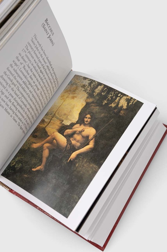 David & Charles książka Leonardo da Vinci, Leonardo da Vinci 9780715324530 multicolor AA00