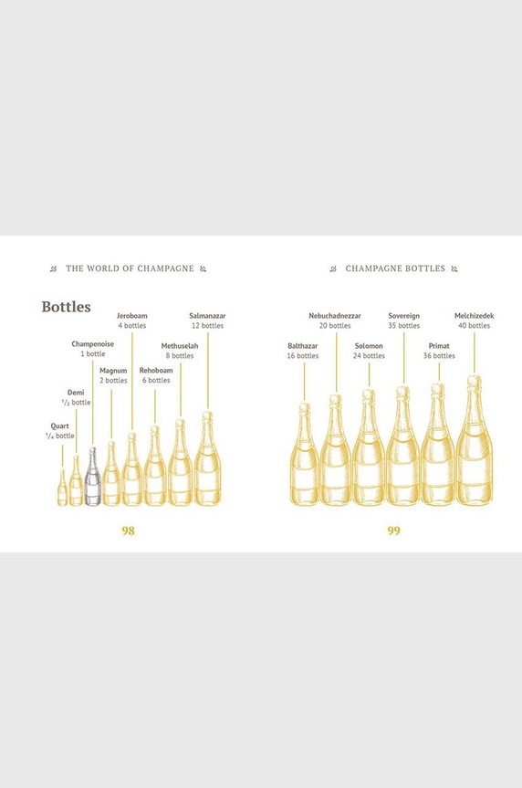 QeeBoo könyv The Little Book of Champagne, Orange Hippo!, English CB1066 többszínű AA00