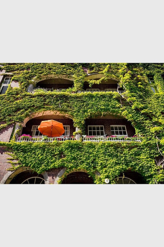 Książka Urban Oasis : Parks and Green Projects around the World, Jessica Jungbauer, English TE1174 multicolor AA00