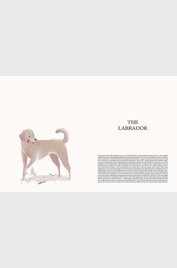 Knjiga DOG - Stories of Dog Ownership by Julian Victoria, English HG1130 pisana AA00