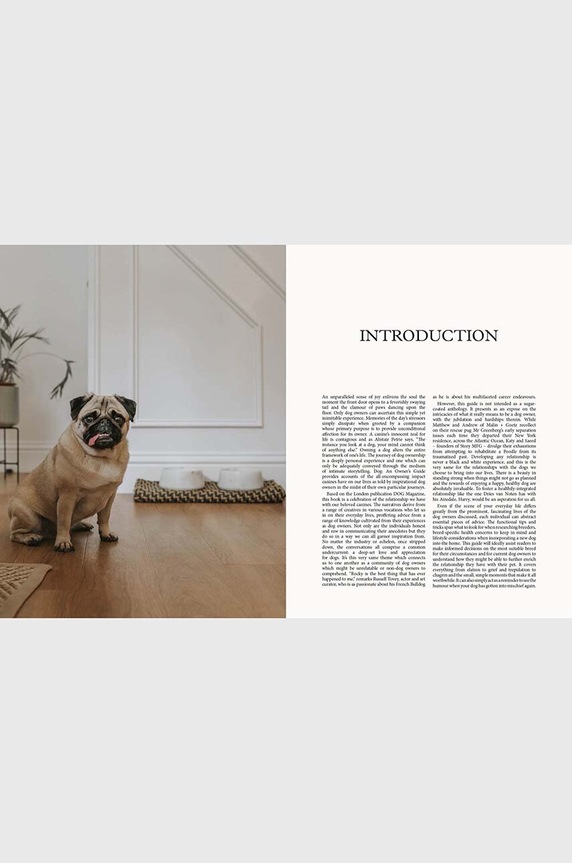 Knjiga DOG - Stories of Dog Ownership by Julian Victoria, English HG1130