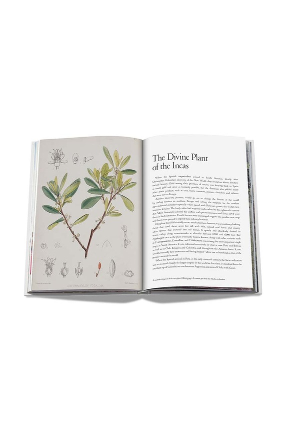 Decor Kniha Assouline Cocain: History & Culture by Armand Limnander, English 9781614287551 viacfarebná