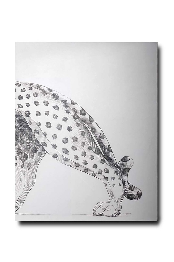 Knížka Assouline Cartier Panthere by Vivienne Becker, English 9781614284284 vícebarevná AA00