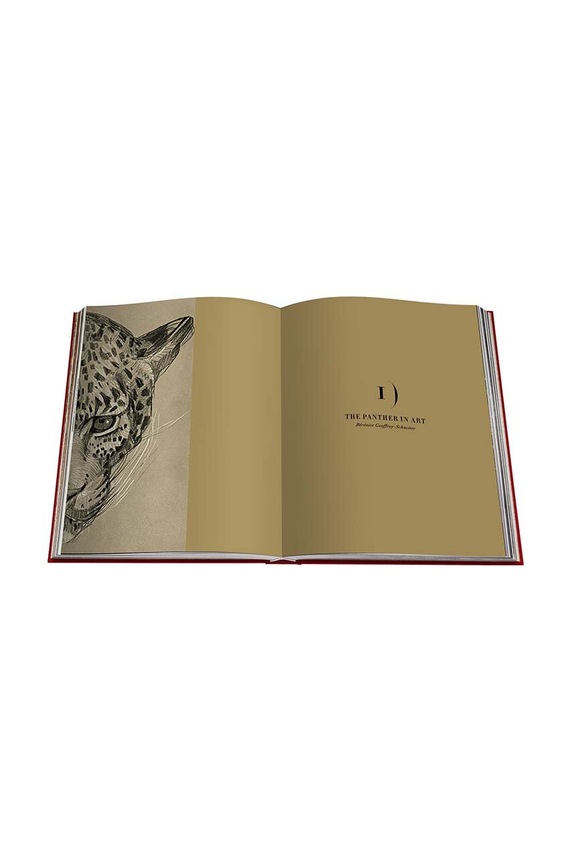 Knížka Assouline Cartier Panthere by Vivienne Becker, English 9781614284284
