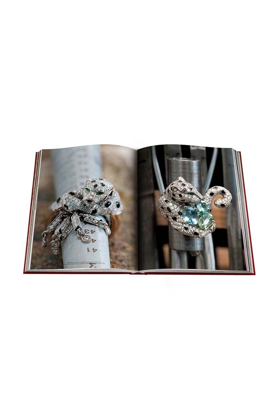 Knížka Assouline Cartier Panthere by Vivienne Becker, English 9781614284284