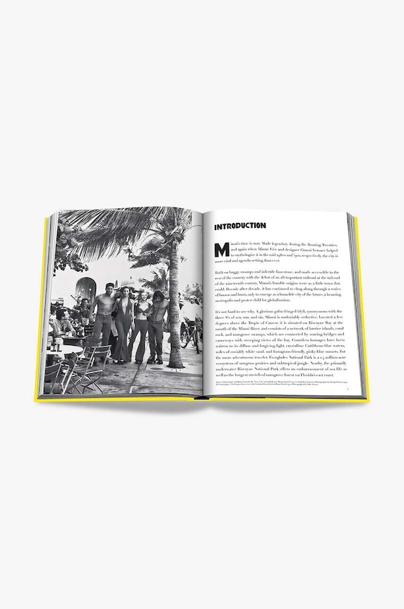 Книга Assouline Miami Beach by Horacio Silva, English многоцветен 9781614289524