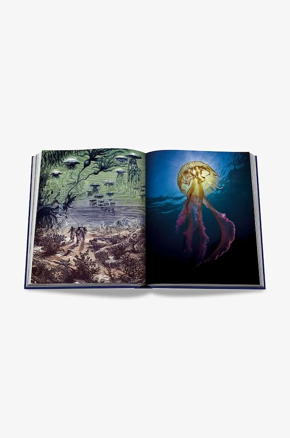 Assouline książka Ocean Wanderlust by Kevin Koenig, English 9781649802644
