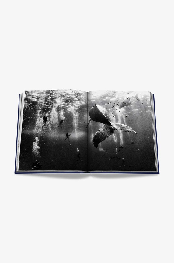 Assouline książka Ocean Wanderlust by Kevin Koenig, English 9781649802644