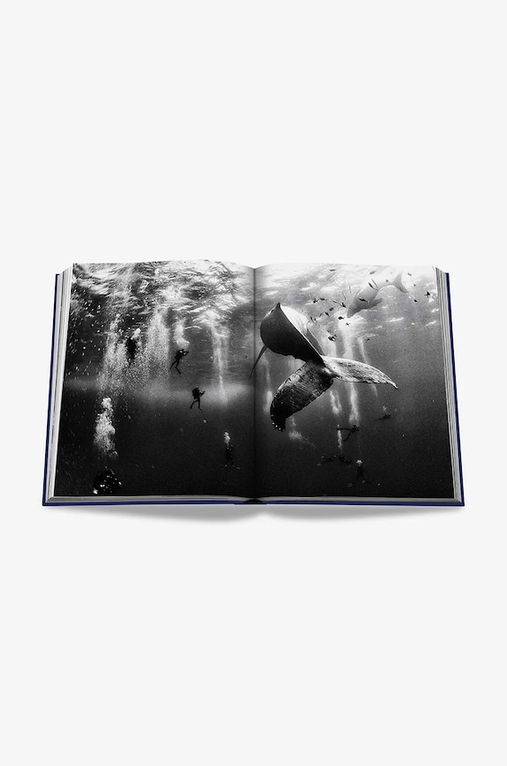 Assouline książka Ocean Wanderlust by Kevin Koenig, English 9781649802644