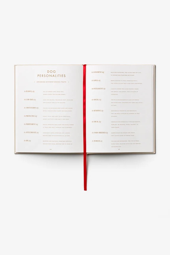 Ημερολόγιο Printworks A Dog's Life 23,8 x 18,9 cm πολύχρωμο PW00764