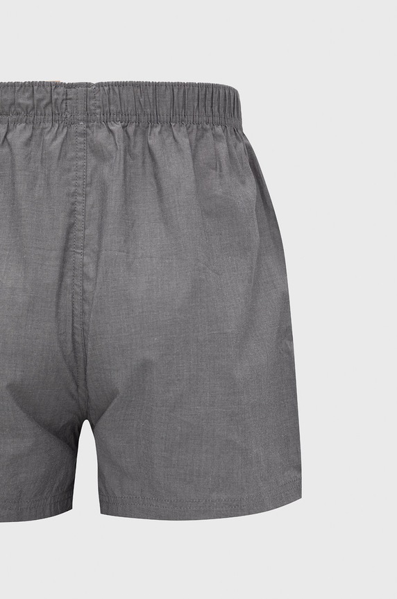 Odzież Levi's Bokserki (2-pack) 37149.0626 szary