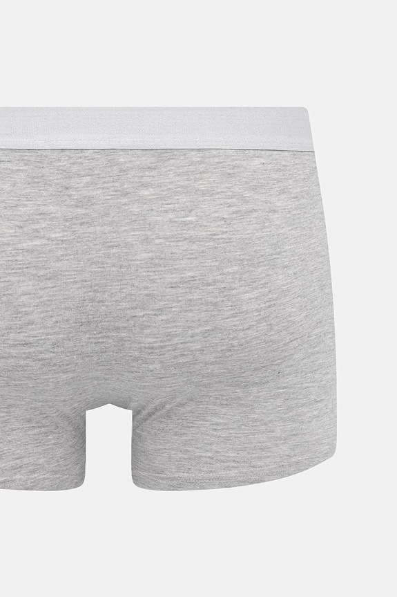 Odzież Trussardi bokserki 2-pack TRU2UTR01 szary