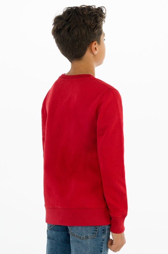 Chłopiec Levi's Bluza dziecięca 9E9079.NOS.B czerwony