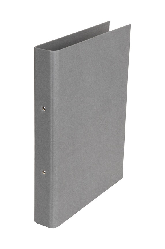 Bigso Box of Sweden segregator Ringo szary 796154180