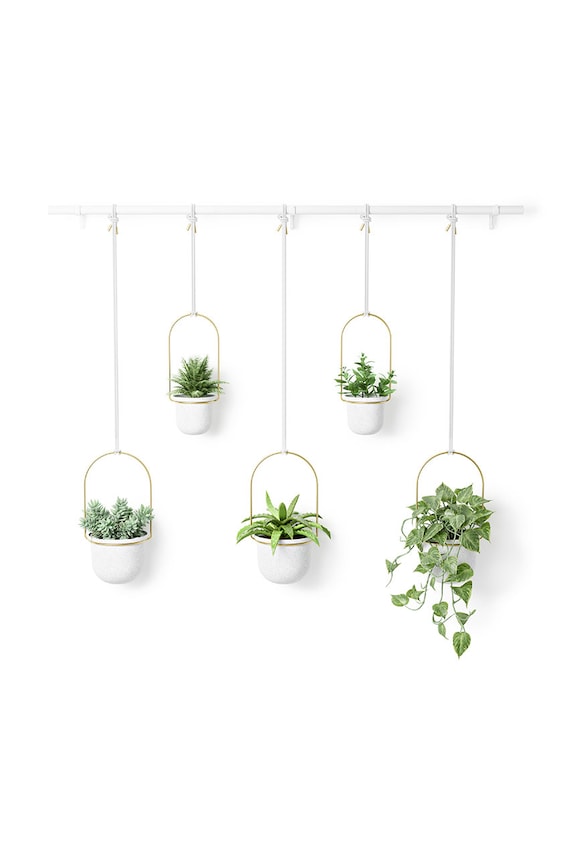 Sada nástěnných květináčů Umbra (5-pack) 1018086.524 bílá AA00