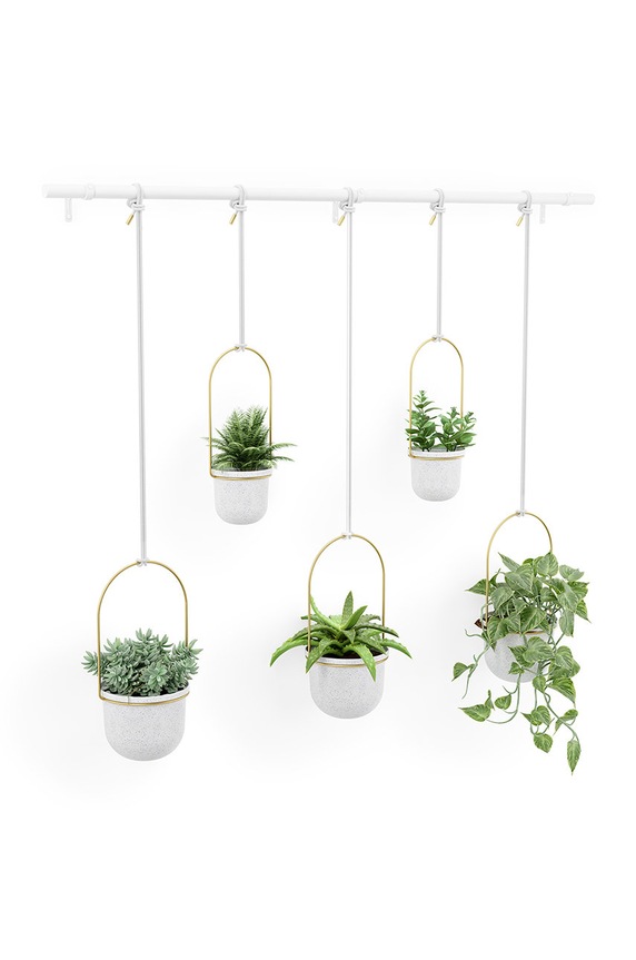Obývací pokoj a ložnice Sada nástěnných květináčů Umbra (5-pack) 1018086.524 bílá