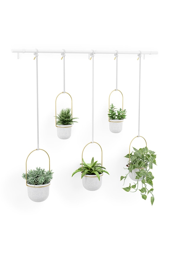 Obývací pokoj a ložnice Sada nástěnných květináčů Umbra (5-pack) 1018086.524 bílá
