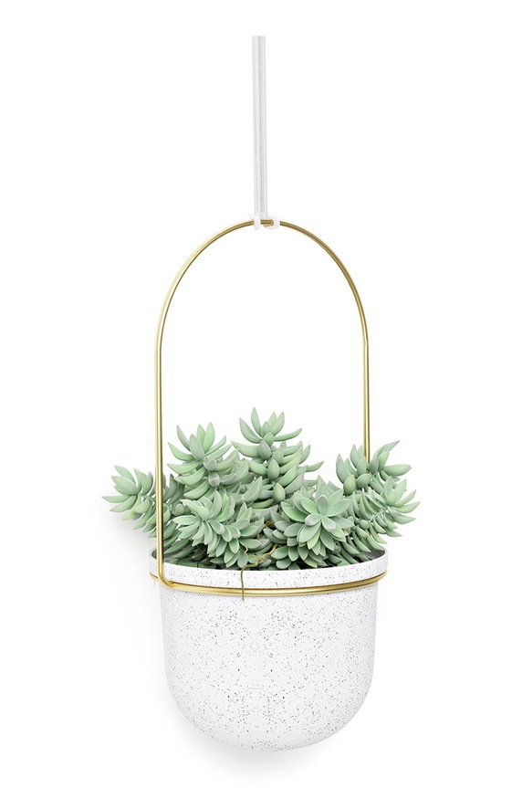 Sada nástěnných květináčů Umbra (5-pack) bílá 1018086.524