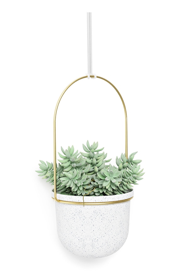 Sada nástěnných květináčů Umbra (5-pack) bílá 1018086.524
