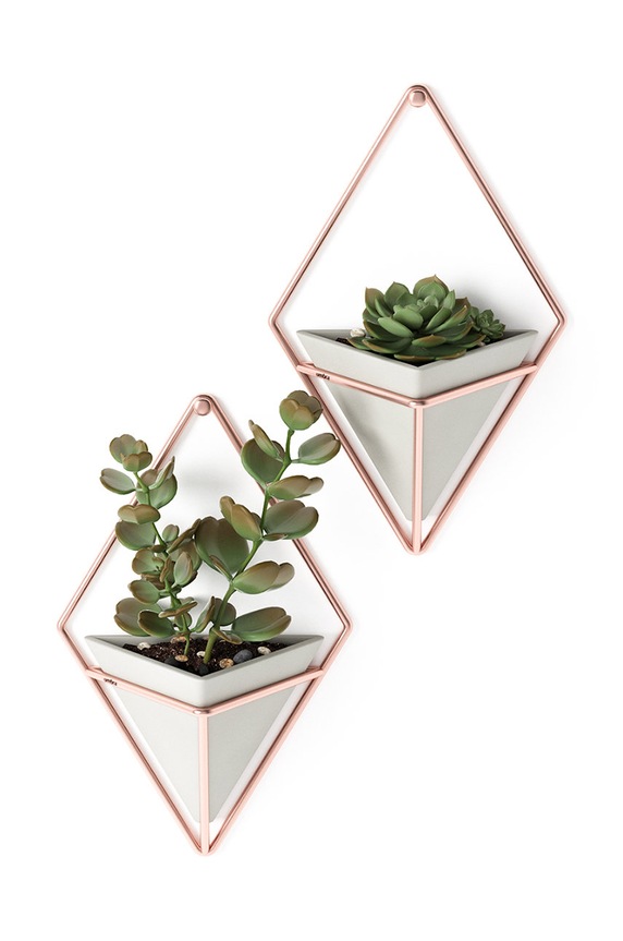 Umbra set ghivece de perete Trigg 19 x 11 x 6 cm 2-pack 470753.633 multicolor AA00
