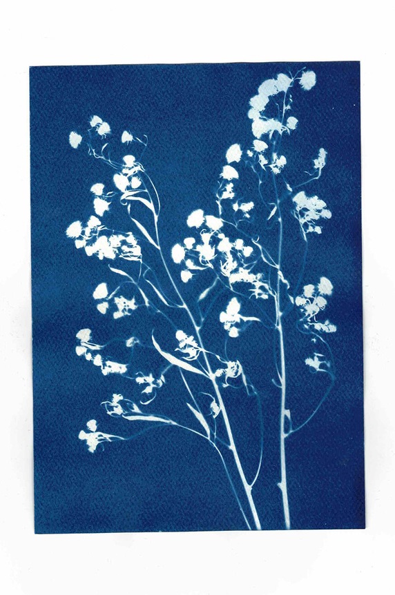 Noted zestaw do tworzenia fotografii Sunography (6-pack) SU08EU multicolor