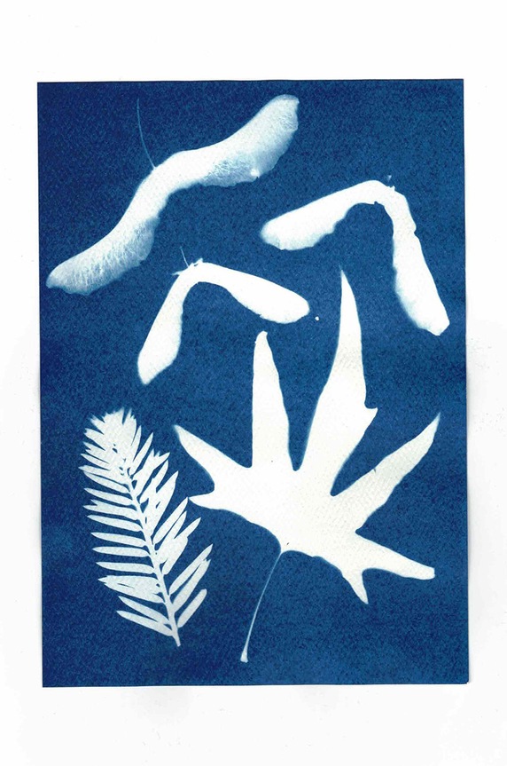 Noted zestaw do tworzenia fotografii Sunography (6-pack) SU08EU