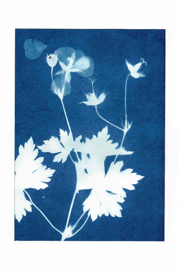 Noted zestaw do tworzenia fotografii Sunography (6-pack) SU08EU