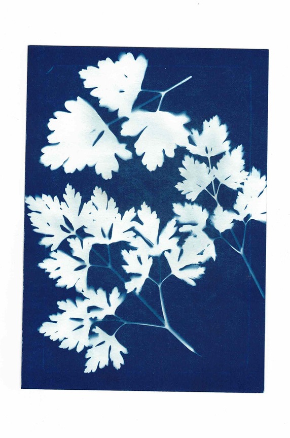 Noted zestaw do tworzenia fotografii Sunography (6-pack) SU08EU