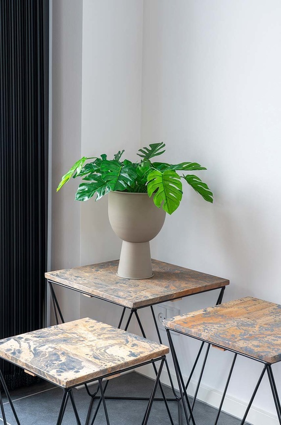 House Nordic sztuczna roślina w doniczce Monstera multicolor 9501040