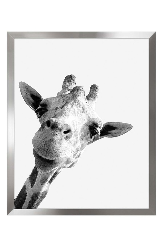 Uokvirena reprodukcija na papiru 40x50 cm šarena 1529201.6077