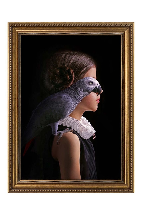 Reprodukcia na zarámovanom papieri 50x70 cm viacfarebná 1541601.5330