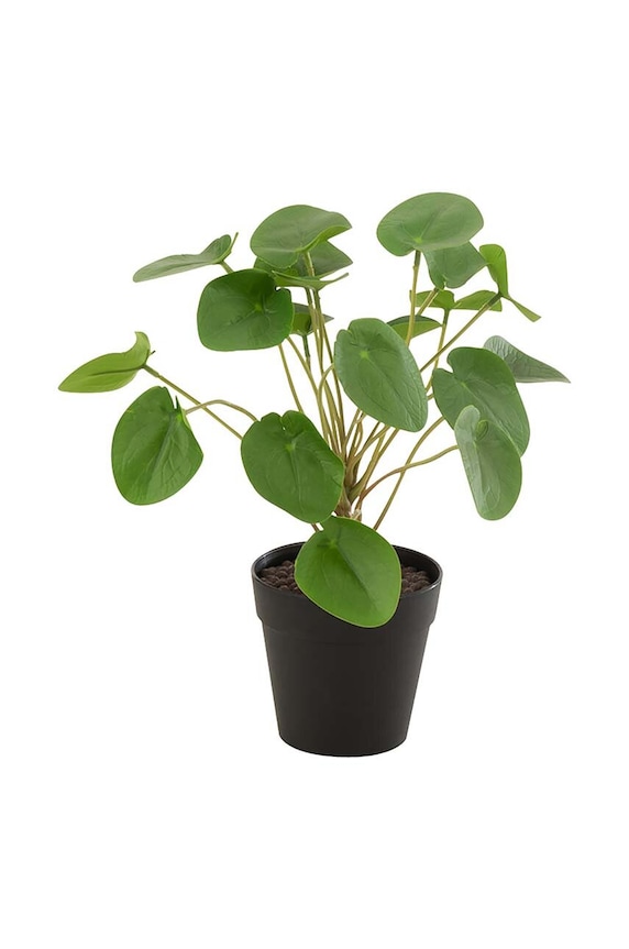 J-Line sztuczna roślina w doniczce multicolor 12526.