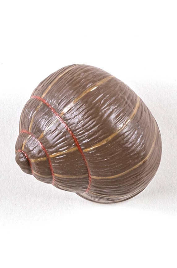 Living și dormitor Seletti Cuier Sleeping Snail #1 14632COL maro