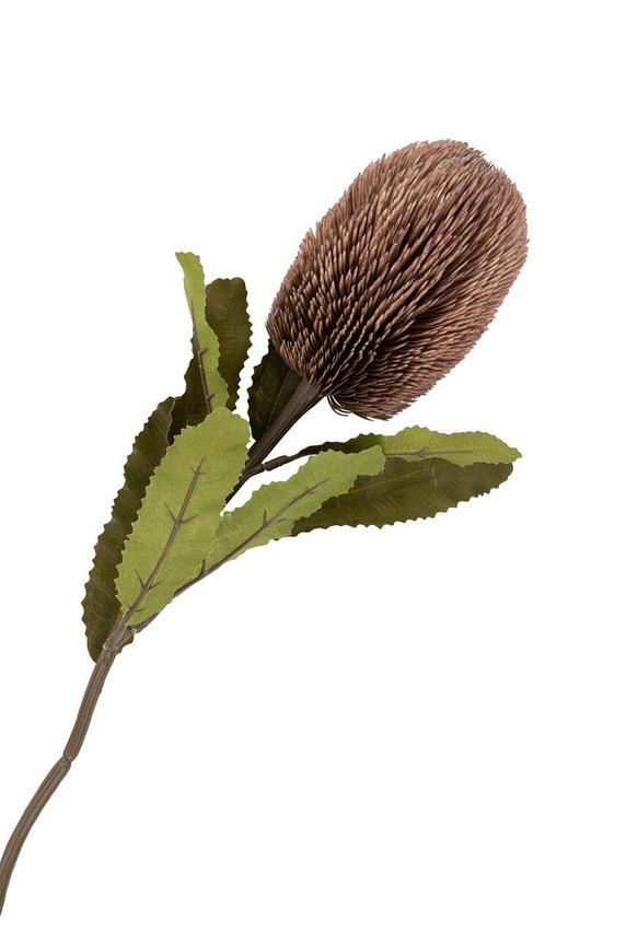 Umjetno cvijeće House Nordic King Protea Bouquet šarena 9501160