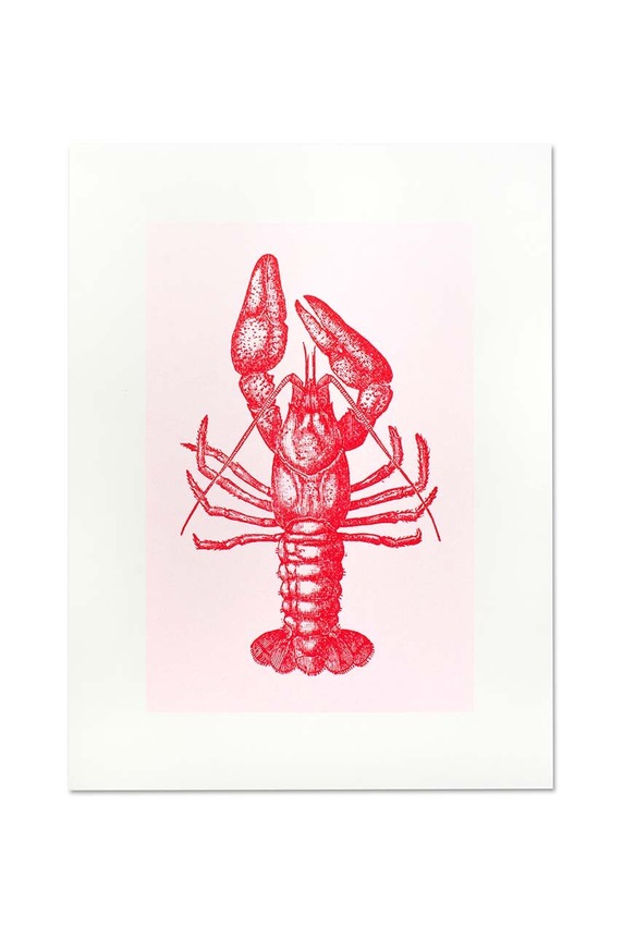Διακοσμητικό τοίχου Donkey "Lobster" πολύχρωμο 400631