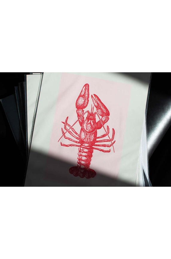 Διακοσμητικό τοίχου Donkey "Lobster" πολύχρωμο 400631