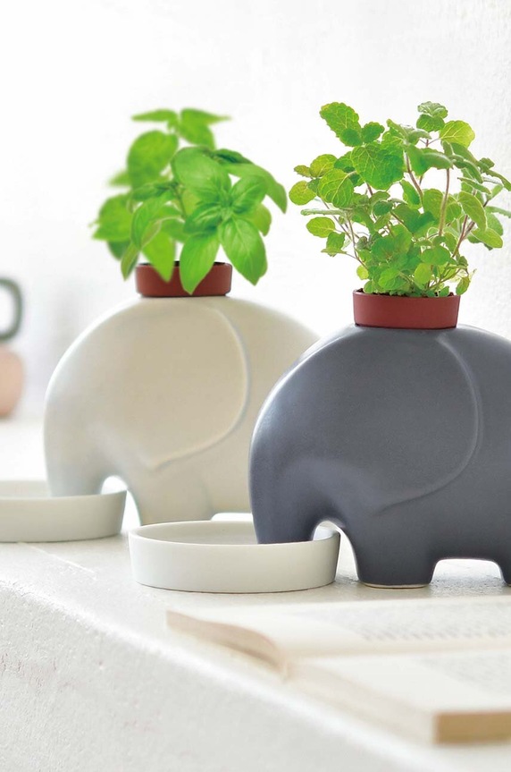 Noted zestaw do uprawy rośliny Eleplant Mint GD95501EU szary