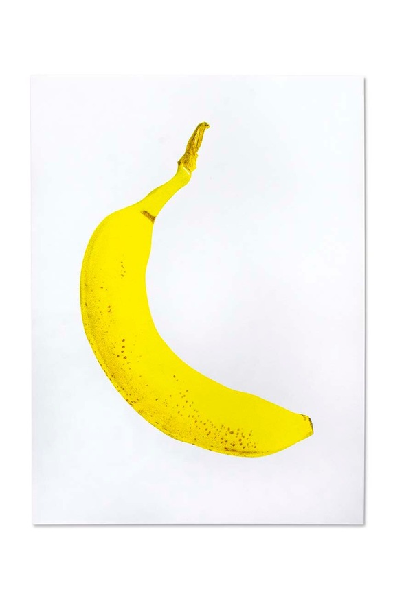 Plakat Donkey Banana šarena 400625