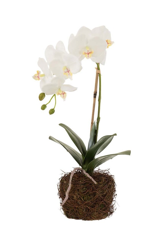 J-Line finta pianta Orchid In Soil multicolore 12486